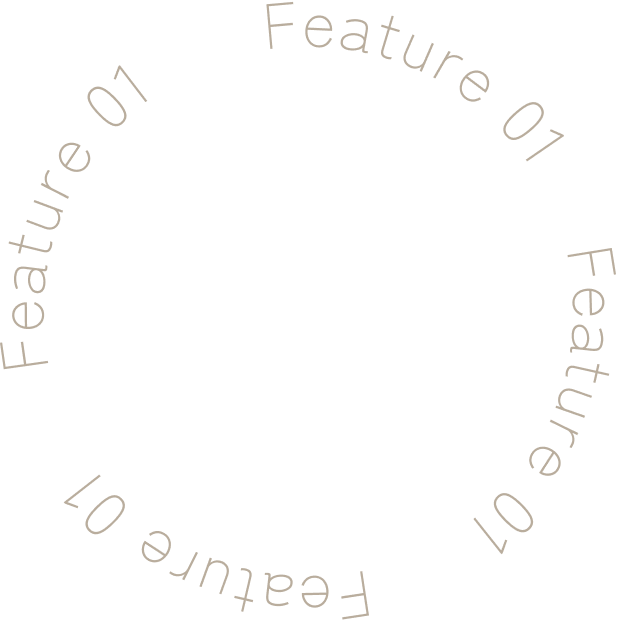 Feature