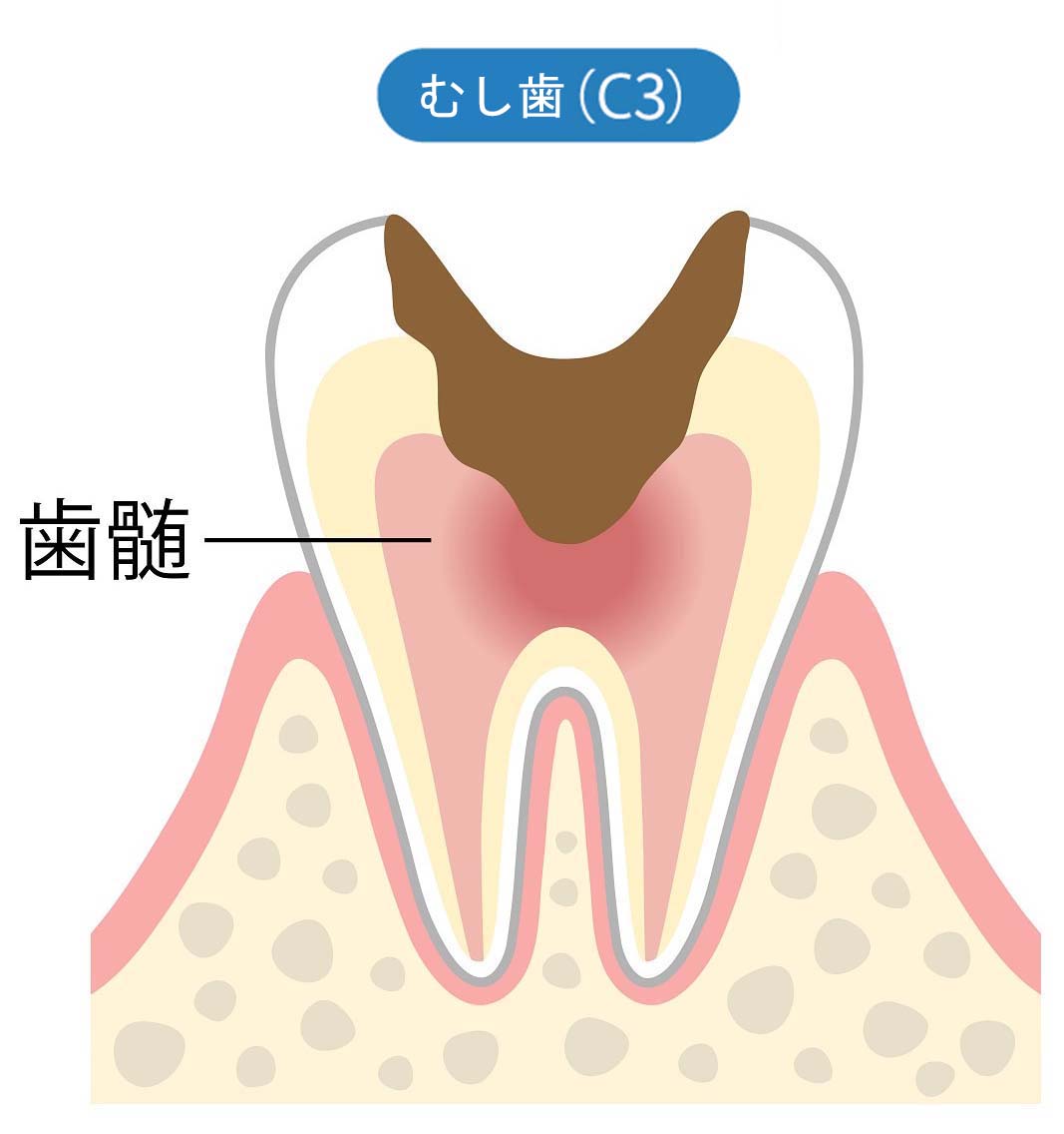 安西歯科医院
