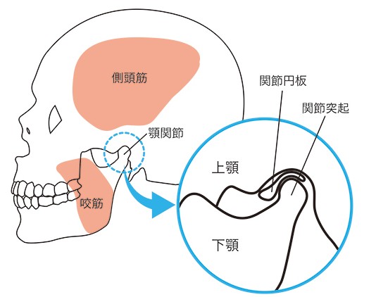 安西歯科医院